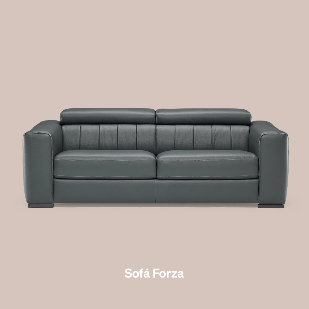 Forza - Imagen 4